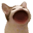 1371313323.gif