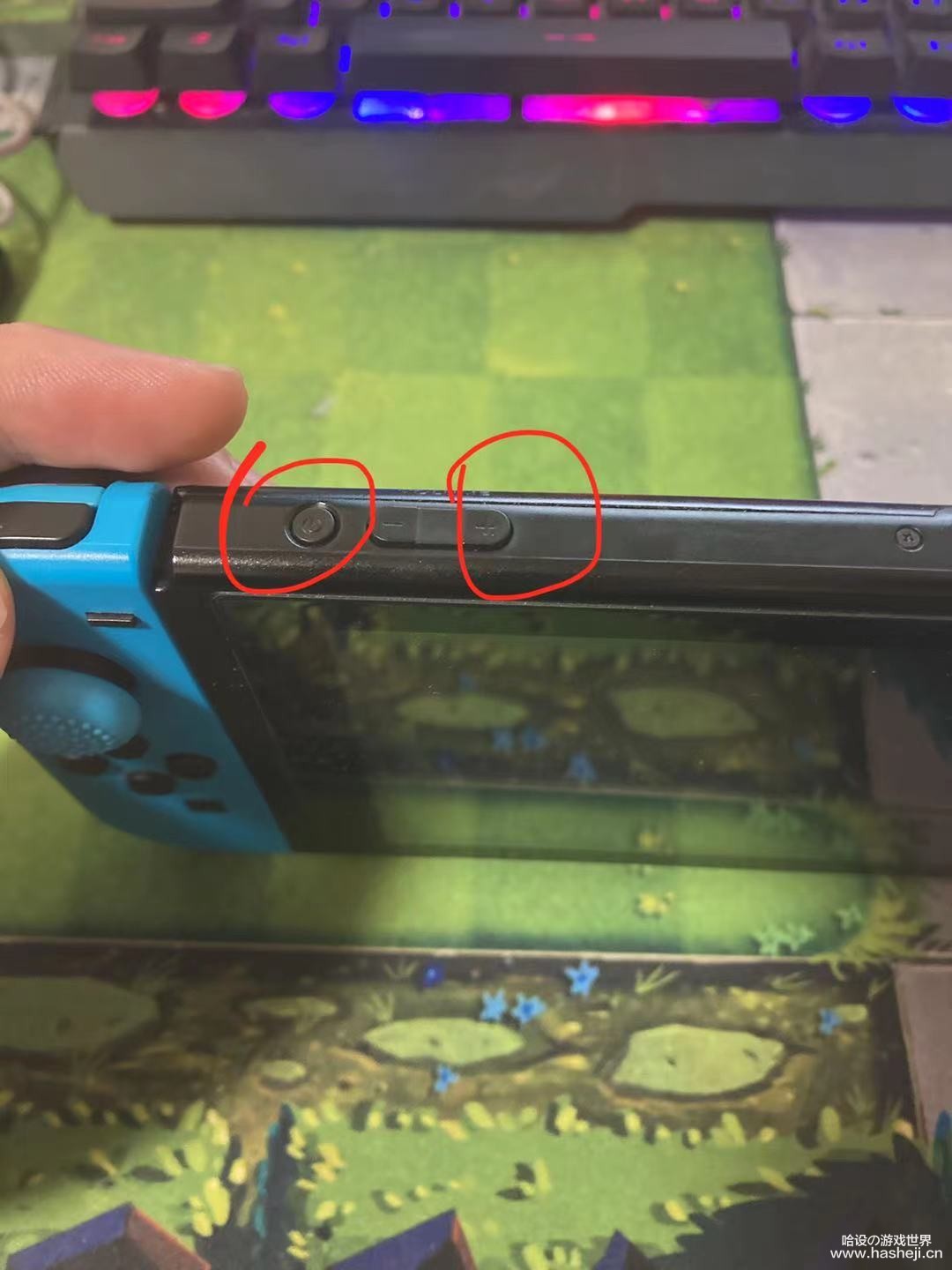 1.jpg